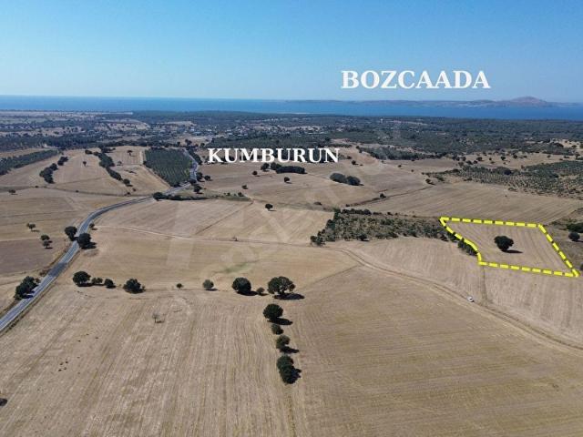 Kumburun, Ezine içerisinde satılık Arsa