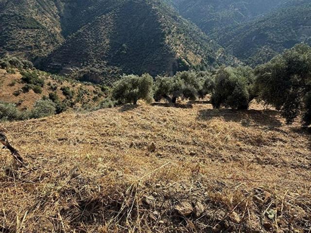Nazilli, Aydin içerisinde satılık mülk