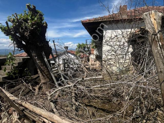 Nazilli, Aydin içerisinde satılık Villa