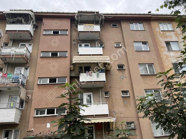 19 Mayıs Mahallesi, Tekkeköy içerisinde kiralık mülk