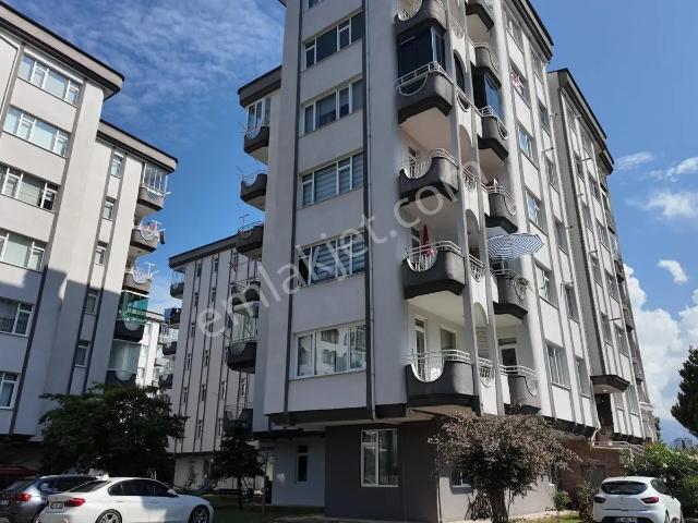 Ordu içerisinde kiralık mülk