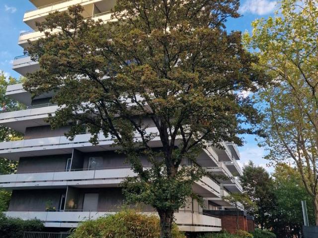 Wohnung kaufen in Stadtbezirk 4, Düsseldorf