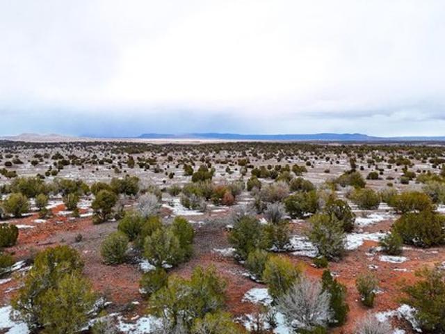 Land for sale in Seligman, Arizona