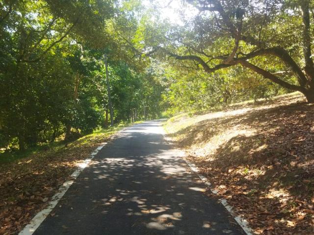 Property for sale in Selangor