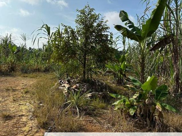 House for sale in Kuala Lipis, Pahang