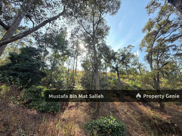 Property for sale in Permatang Kerat Telunjuk, Bandar Baharu