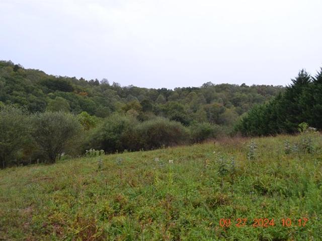 Land for sale in Weston, West Virginia
