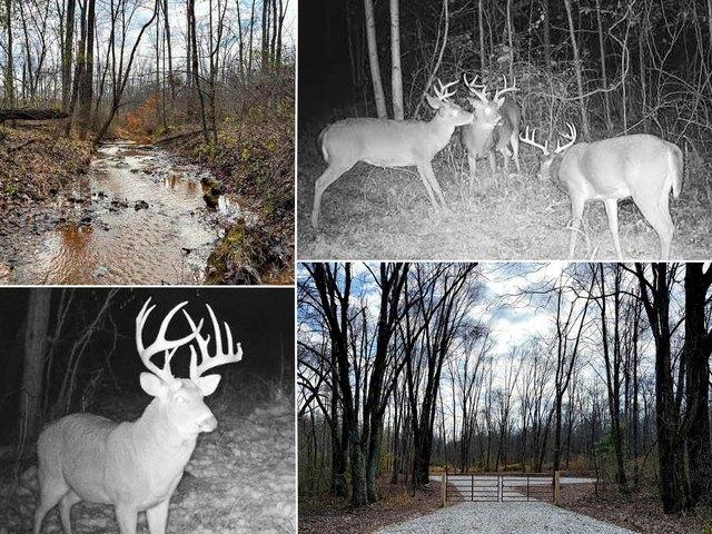 Land for sale in New Lexington, Perry County