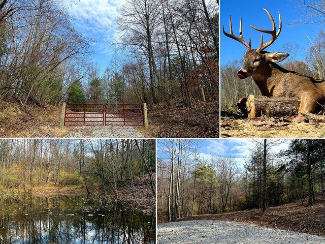 Land for sale in New Lexington, Ohio