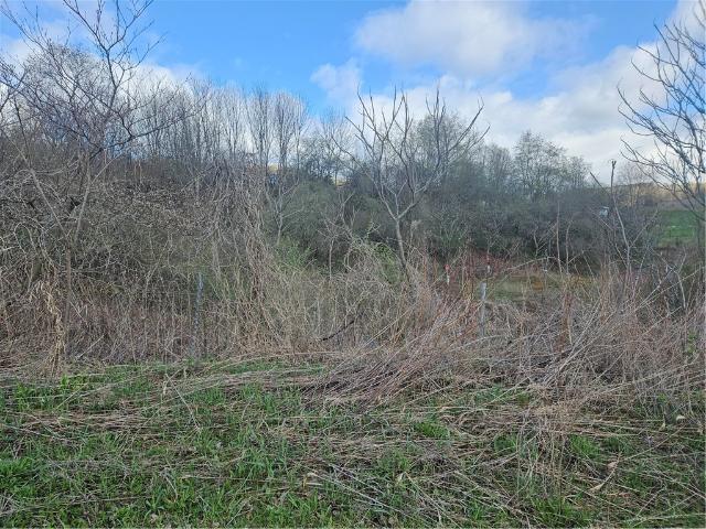 Land for sale in Edmeston, New York
