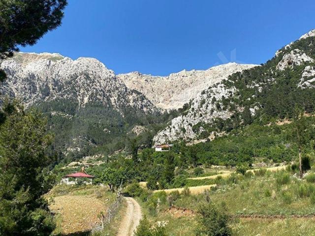 Gazipaşa, Antalya içerisinde satılık Arsa