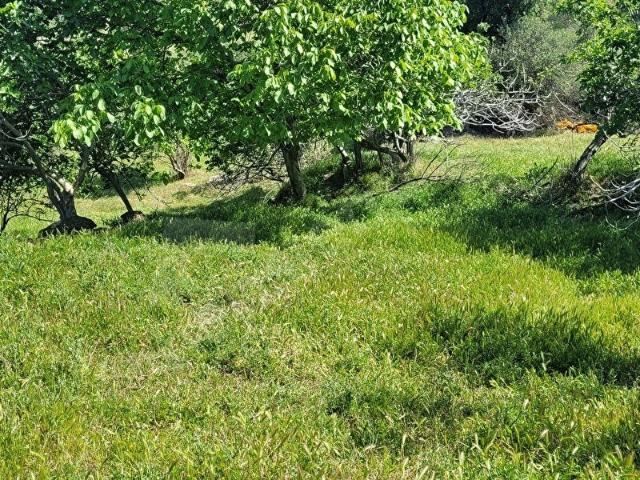 Burhaniye, Balikesir içerisinde satılık Arsa