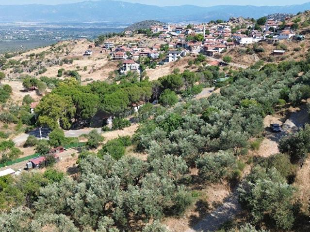 Burhaniye, Balikesir içerisinde satılık mülk