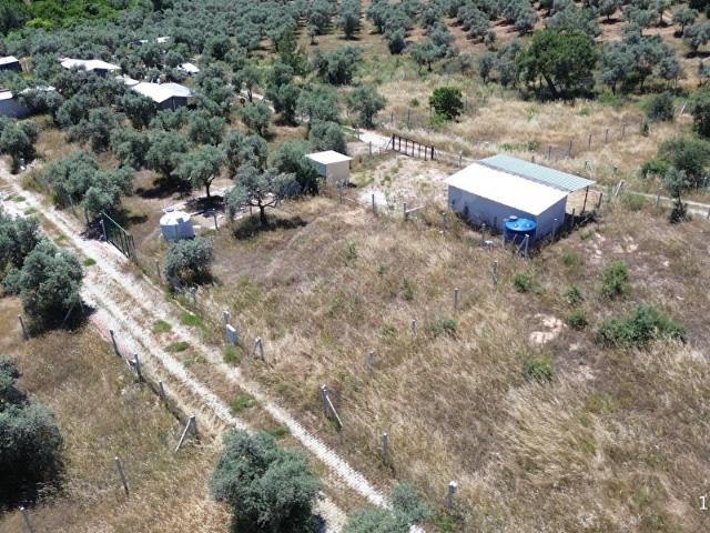 Torbali, İzmir içerisinde satılık mülk
