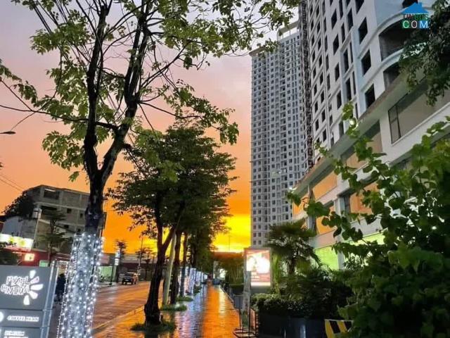 Căn hộ bán tại Thái Nguyên