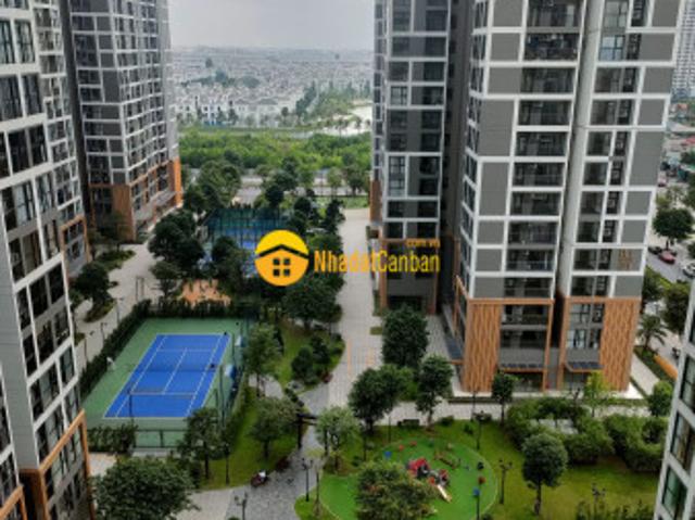 Căn hộ bán