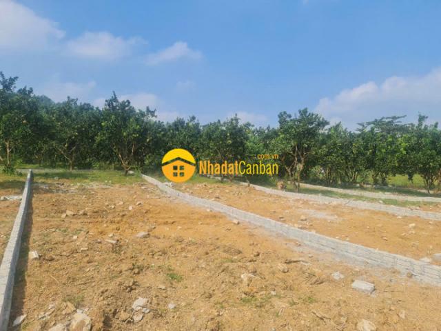 Mặt bằng bán