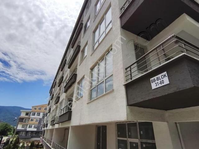 Çinarcik, Yalova içerisinde satılık mülk