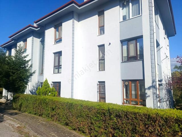 Çamlıevler Mahallesi, Düzce Merkez içerisinde kiralık mülk
