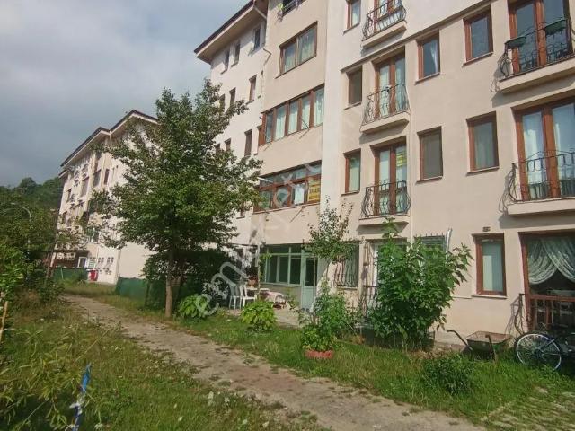 Düzce Merkez, Düzce içerisinde satılık mülk