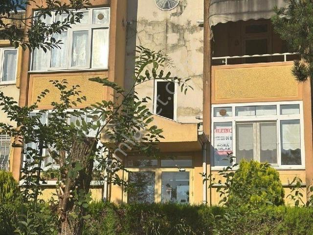 Düzce Merkez, Düzce içerisinde kiralık mülk