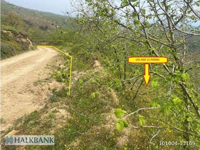 Cumayeri, Düzce içerisinde satılık Arsa
