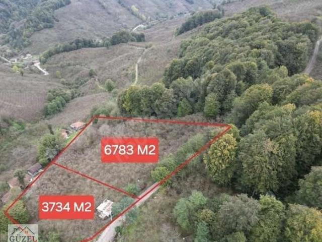 Yenitepe, Cumayeri içerisinde satılık Arsa