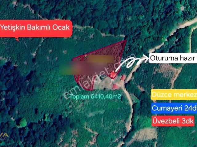 Cumayeri, Düzce içerisinde satılık Villa