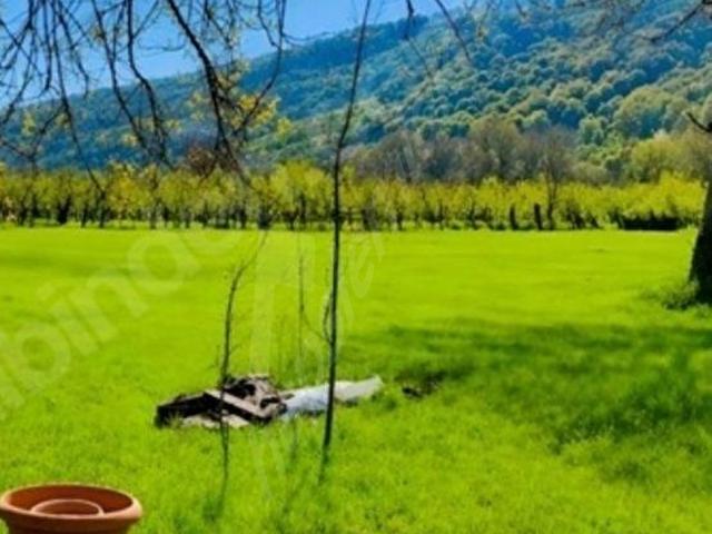 Gümüşova, Düzce içerisinde satılık mülk