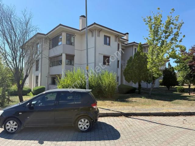 Düzce Merkez, Düzce içerisinde kiralık mülk