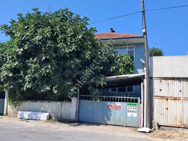 Düzce Merkez, Düzce içerisinde kiralık mülk