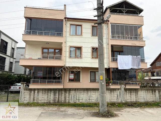 Düzce Merkez, Düzce içerisinde kiralık mülk