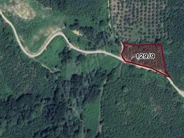Akçakoca, Düzce içerisinde satılık mülk