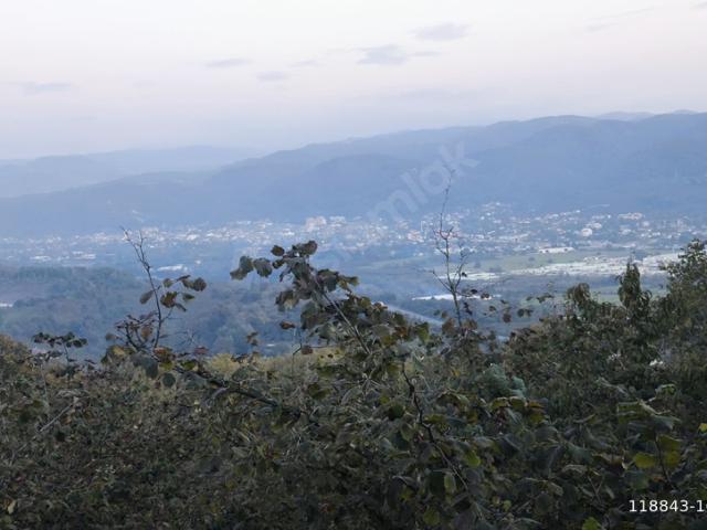Üçköprü, Kaynaşlı içerisinde satılık mülk