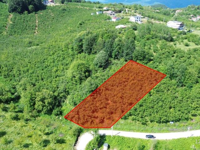 Çamoluk, Kaynaşlı içerisinde satılık Arsa