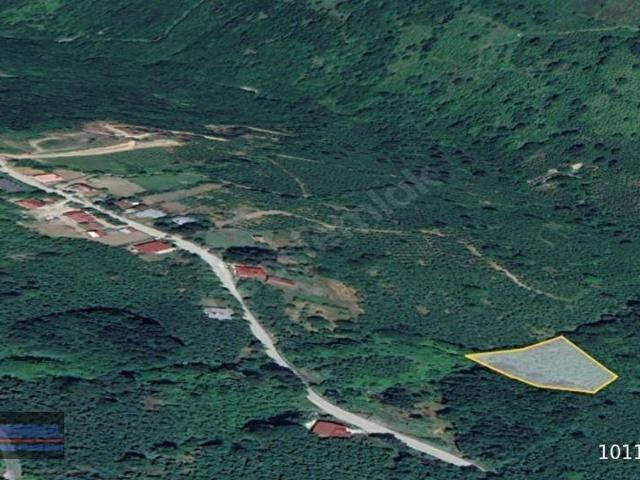 Kaynaşli, Düzce içerisinde satılık Arsa