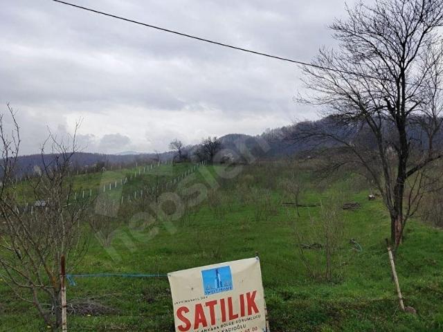 Kaynaşli, Düzce içerisinde satılık mülk
