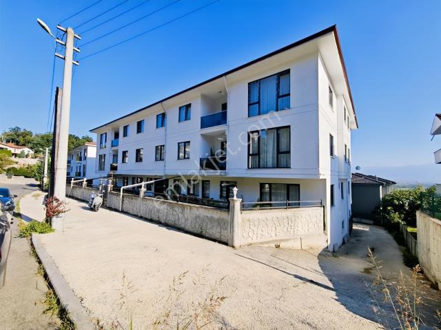 Düzce Merkez, Düzce içerisinde kiralık mülk