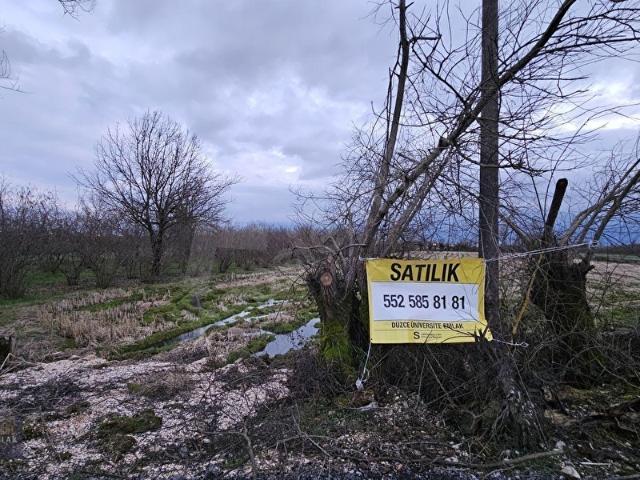 Düzce Merkez, Düzce içerisinde satılık Arsa