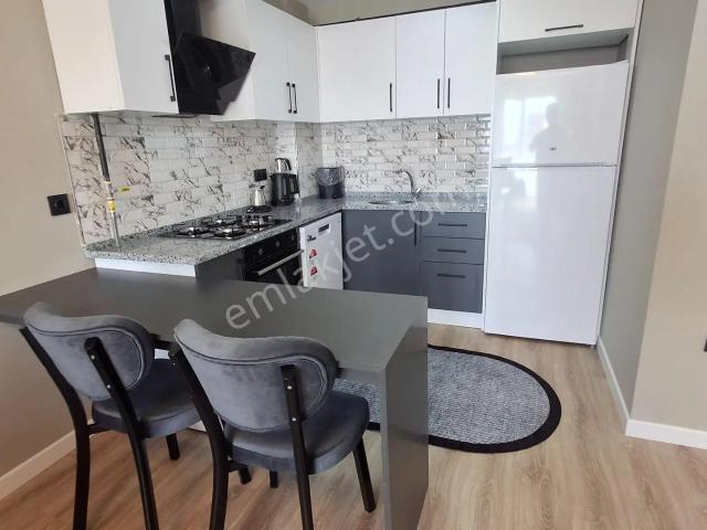 Düzce Merkez, Düzce içerisinde kiralık mülk