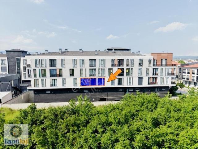 Green Park Sitesi, Düzce Merkez içerisinde kiralık mülk