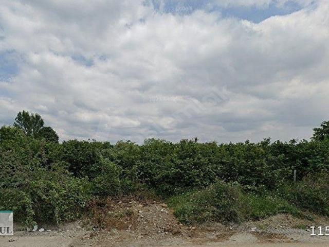 Düzce Merkez, Düzce içerisinde satılık Arsa