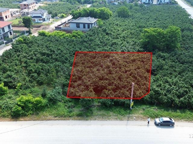 Düzce Merkez, Düzce içerisinde satılık Dükkan