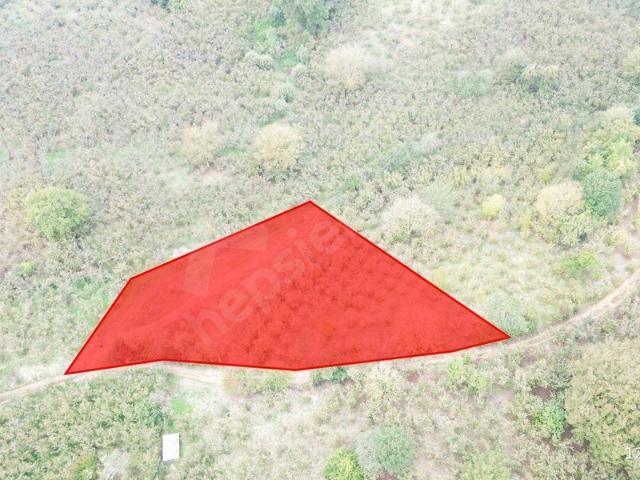 Aynalı, Düzce Merkez içerisinde satılık Arsa
