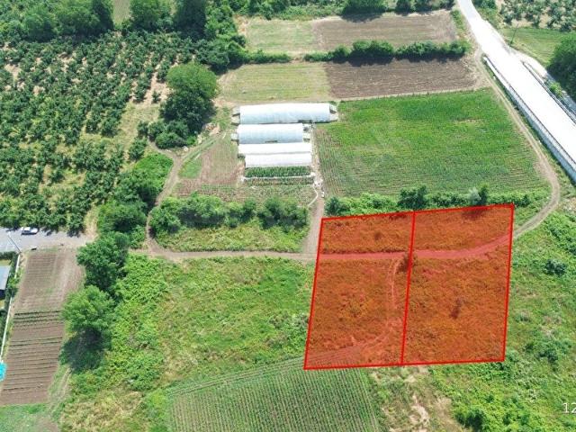 Düzce Merkez, Düzce içerisinde satılık Arsa
