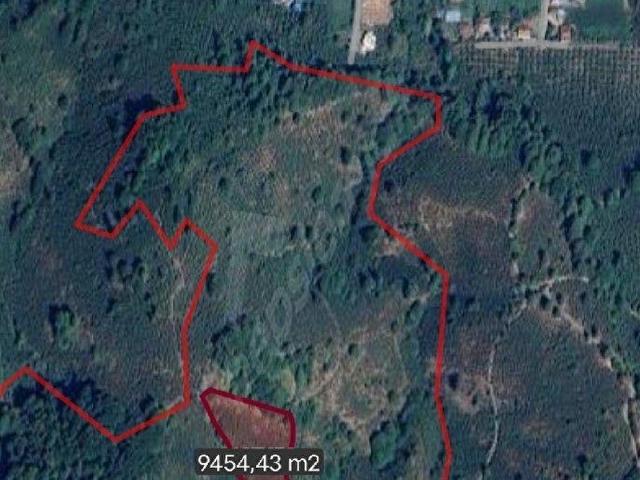 Düzce Merkez, Düzce içerisinde satılık mülk