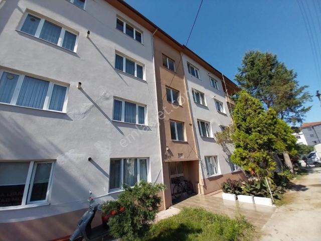 Green Park Sitesi, Düzce Merkez içerisinde kiralık mülk