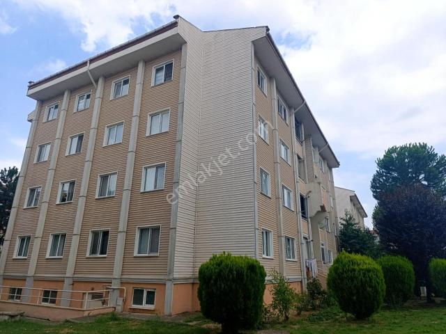 Düzce Merkez, Düzce içerisinde kiralık mülk
