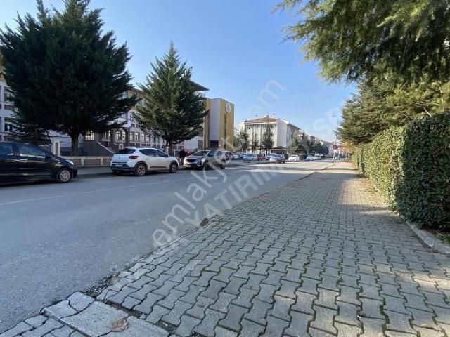 Düzce Merkez, Düzce içerisinde kiralık mülk