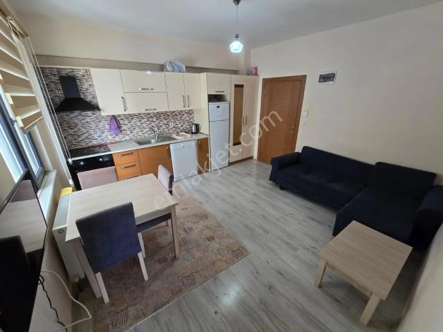 Düzce Merkez, Düzce içerisinde kiralık mülk